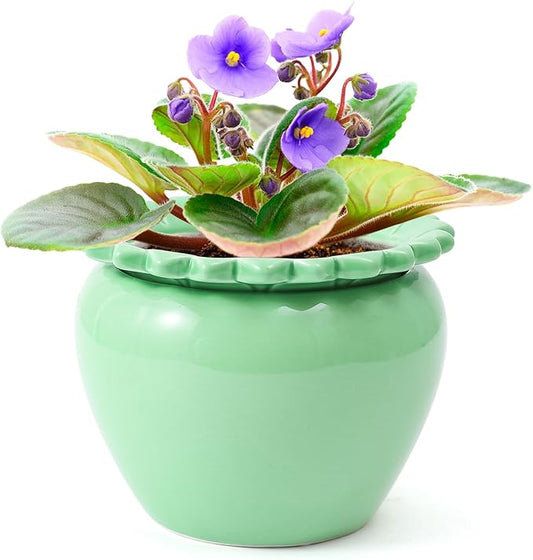 African Violet Flower Pot Green Ceramic Self Watering Flower Pot 6.5 * 4.6 * 4 inch Simple Plant Self Watering Pot Indoor Flowers High Absorption Herbaceous Flower Pots Modern Decor Pots