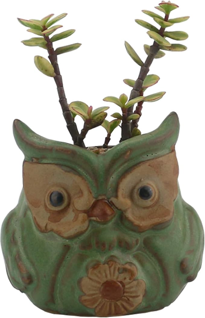 Ogrmar 6Pack Owl Plant Window Boxes Cute Owl Flower Pot/Modern Ceramic Succulent Planter Pots/Tiny Flower Plant Containers Animal Decor