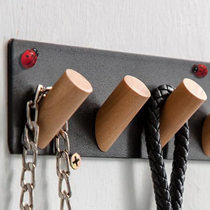 8pcs Plants Magnets Tiny Ladybug Pins Charms Funny Potted Plant Safe Magnets Cute House Plant Accessories,Christmas Decoration Gift for Plants Lovers (Ladybug)