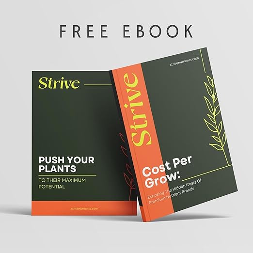 Strive Fertilizer Starter Kit Combo - Veg + Bloom General Hydroponic Nutrients - Indoor, Outdoor and Soil Growing Plant Food - Booster for Vegetables, Succulents, Flowers (Trial Combo 300 Grams)