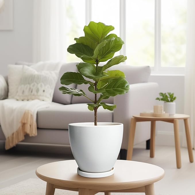 8 Inch Plant Pot - Ceraimc Planter for Indoor Outdoor Plants, Round Flower Pots with Drainage and Tray, House Decor, White