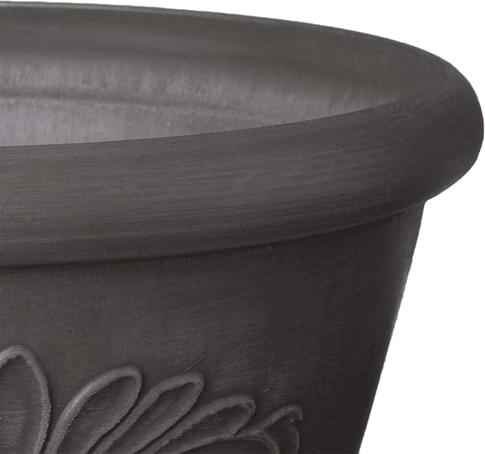 Arcadia Garden Products PSW Pot TA25DC Collection Shallow Bulb Pan Planter Dish Low Bowl for Succulents, Bonsai, Fairy Gardens, Herbs, 10-inch, Dark Charcoal, 10"x3.5"