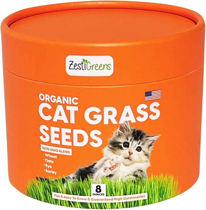 ZESTIGREENS Organic Cat Grass Seeds - Non-GMO Blend of Wheat, Oats, Rye & Barley for Indoor Cats | Seeds Come in Food Grade Container with Lid for Easier Scooping & Keeping Fresher (0.5 lb)