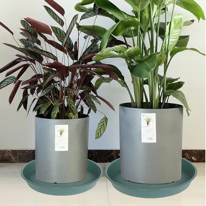 2 Pack of 16 17 inch Plant Saucer (15 inch Base), 2.3" Depth, Plant Trays for Pots, Plastic Plant Saucers for Indoors, Bird Bath Bowls, Flower Pot Drip Trays for Planter (17", Green)