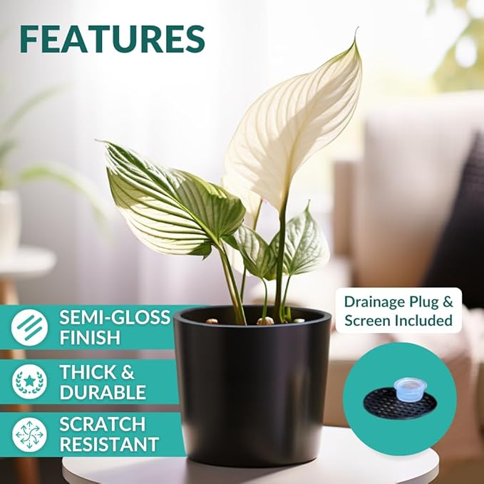 Willowy 9 Inch Black Ceramic Plant Pot - 9 Inch Plant Pot, Pot for Indoor Plants, 9 Inch Planter, Black Ceramic Pot, Tall Plant Pot, Modern Planter, Black Flower Pot, Black Ceramic Planter