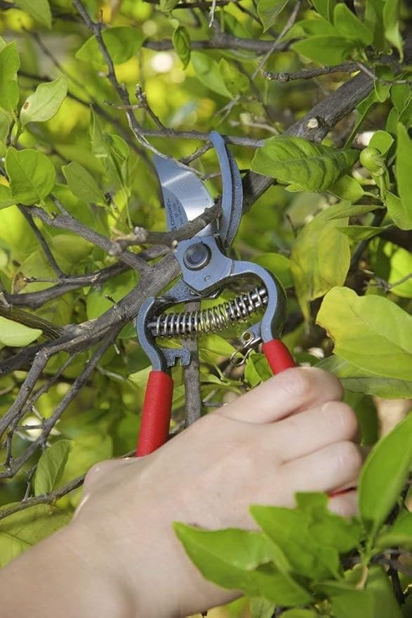 Corona BP 3180D Forged Classic Bypass Pruner with 1 Inch Cutting Capacity, 1", Red