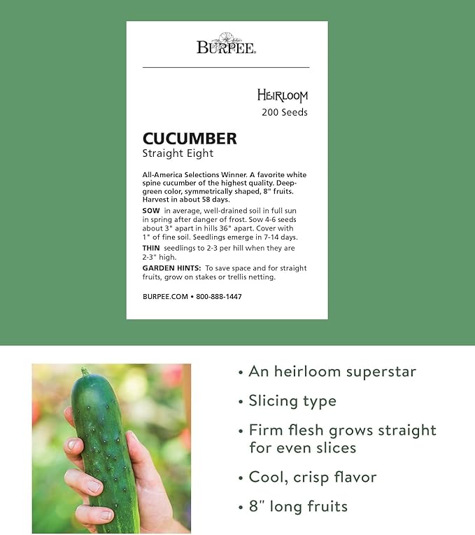 Burpee Straight Eight Slicing Cucumber 200 Seeds and Sweet Banana Sweet Pepper 150 Seeds