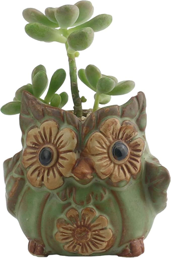 Ogrmar 6Pack Owl Plant Window Boxes Cute Owl Flower Pot/Modern Ceramic Succulent Planter Pots/Tiny Flower Plant Containers Animal Decor