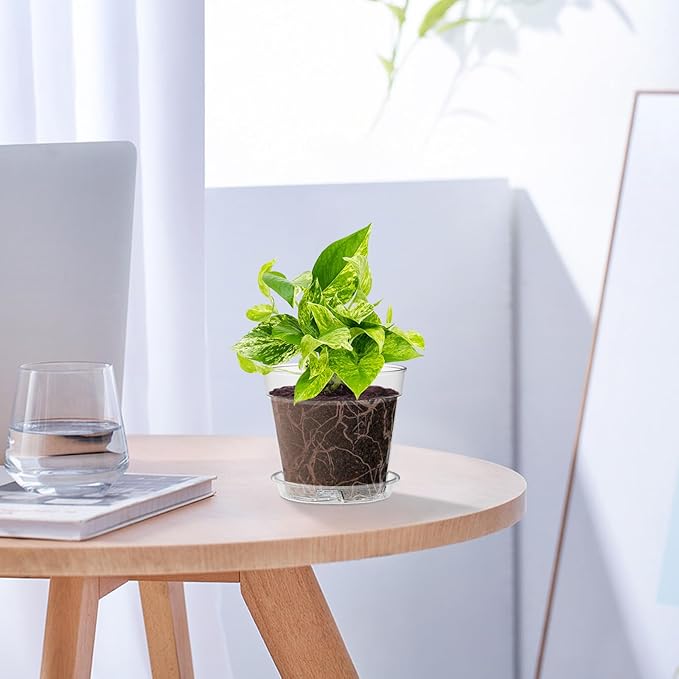 4 Inch Clear Nursery Pots, Set of 8 Transparent Plant Flower Pots for Small Indoor Plants with Drainage Holes & Trays, Plastic Seedling Starter Pots for Various Plants