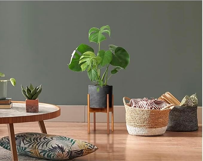 Fox & Fern Mid Century Plant Stand — 10 Inch Fixed Size Wooden Plant Stand for Indoor Planters; Raised Flower Pot Holder for Indoors; Plug In Design; Two Height Options; Easy to Assemble - Acacia