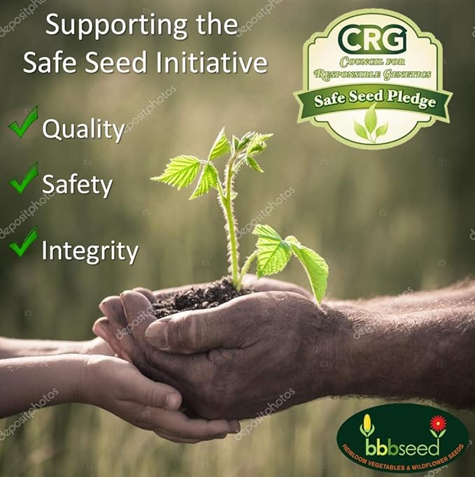 Honey Source Wildflower Seeds Mix for Honey Bees 1oz - Premium Annual and Perennial Flower Seed Mix – Bulk Planting for Pollinator