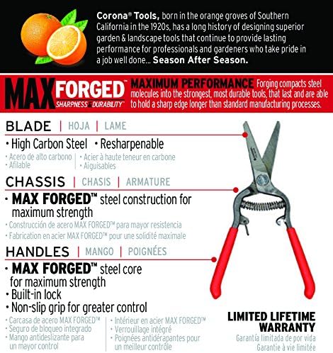 Corona FS 4310 FS4310 Shear, 1-1/4 Inch