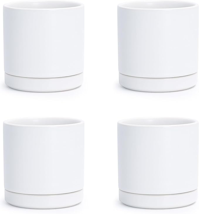D'vine Dev Set of 4 Small Ceramic Plant Pots, 3.5 Inch Succulent Planter Pot for Plants with Drainage Hole and Saucer, White, 94-X-A-1