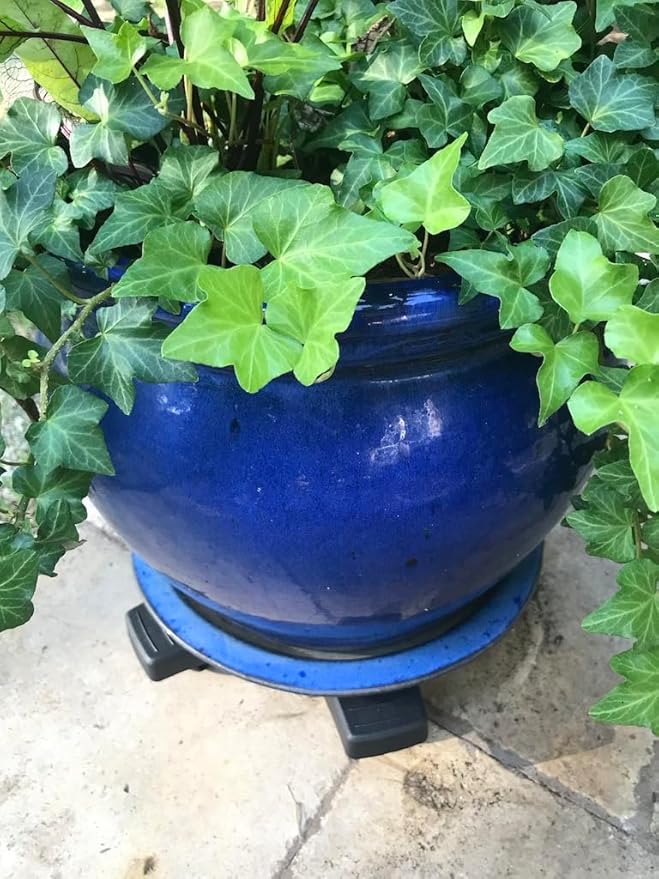 Bosmere Down Under Plant Caddie, Heavy Duty Plant Stand with Wheels, 500 lb Capacity, 14-Inch, Charcoal