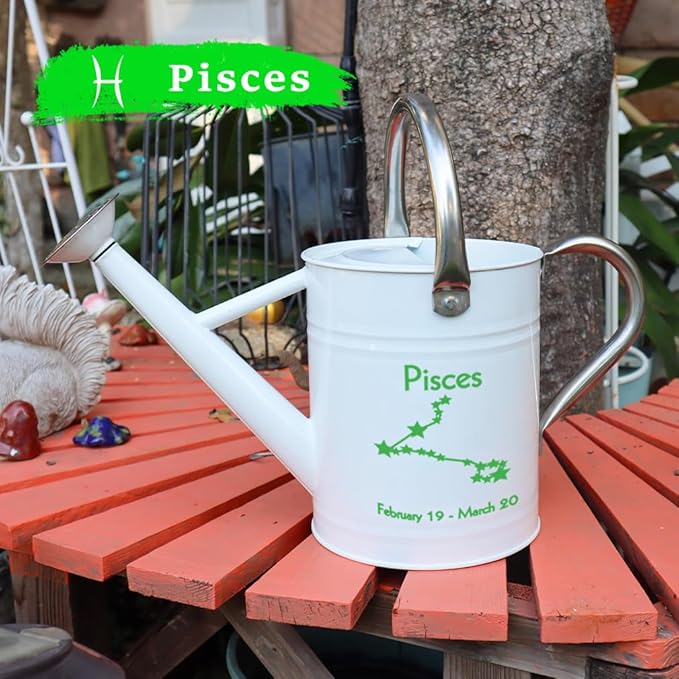Metal Watering Can for Outdoor and Indoor Plants, Watering Can Decor, 1 Gallon (Pisces)