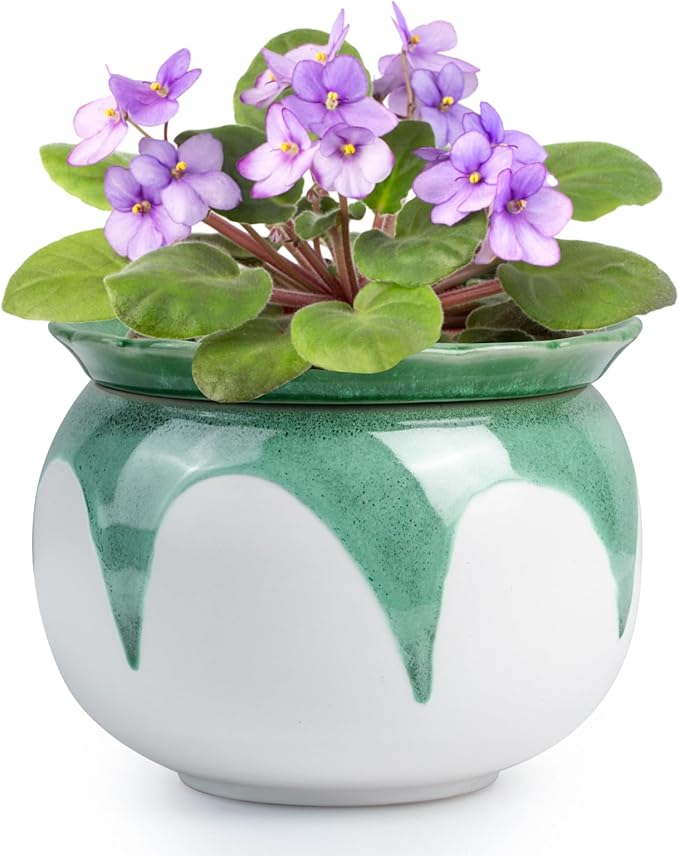 African Violet Pots, 6 inch Ceramic Easy Self Watering Plant Pot for Busy Plant Lovers, Automatically Absorb Appropriate Amount of Water, Flower Pot Indoor-Plants Not Included(Green)