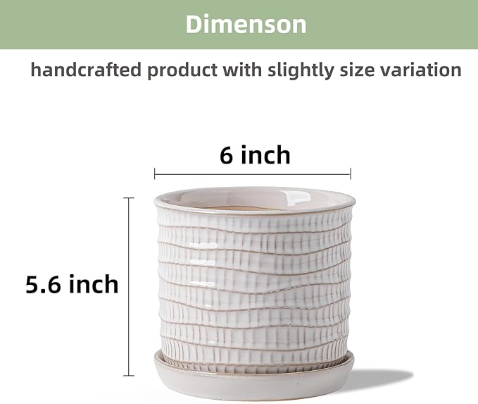 6 Inch Plant Pot: Ceramic Planter with Drainage Hole & Saucer - Cream White Flowerpot for Indoor & Outdoor Plants - with Separate Tray for Home & Office - Wave Embossed Design