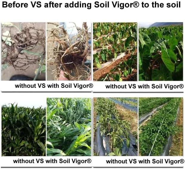 5 Pounds Potassium Water-Absorbing Crystal Polymer for Plants Soil Moist SAP Commercial-Grade