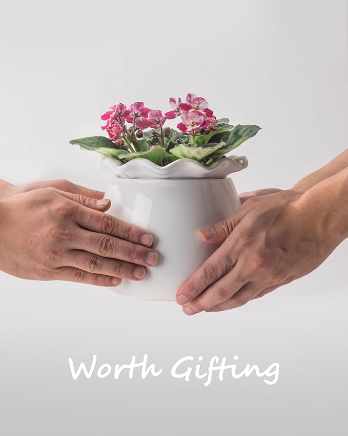 Self Watering Plant Pot, 6 Inch African Violet Pots Maintenance, Ceramic Self-Watering Planter for Indoor Plants - Ideal Flower Pot for Thriving Indoor Gardens