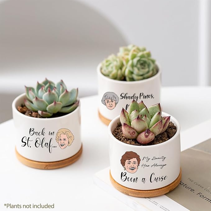 Funny Succulent Pots Set of 4 - Golden Inspired Merchandise Ceramic Mini Plant Pot with Bamboo Tray, Cute Planter for Indoor Decorations, Gifts for Women