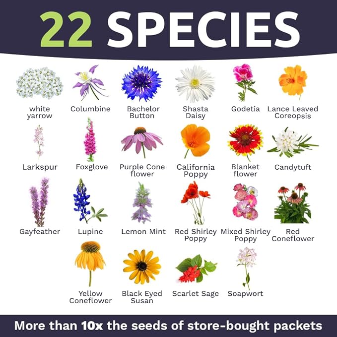 Deer Resistant Wildflower Seed Mixture - Bulk 1 Ounce Packet - Over 15,000 Deer Tolerant Seeds - Open Pollinated and Non GMO