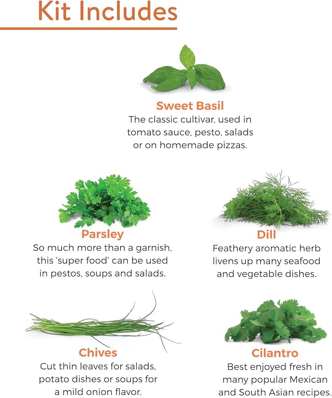 Burpee Culinary Garden Starter Kit Packets, 5 Pots, 5 Coir Pellets & 5 Plant Markers Non-GMO Herb Seeds: Cilantro, Dill, Parsley, Sweet Basil & Chives