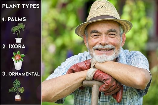 All Season Palm, Ixora, and Ornamental Plant Food (8-4-8 Fertilizer) by Gardenera - Enhance The Health and Resilience of Your Ornamental Plants - 2 QUARTS