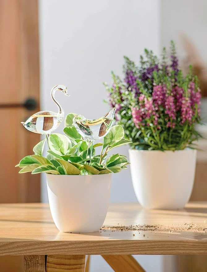 Mkono Plant Self Watering Globes Glass Water Bulbs for Planter Insert, Bird Shape Self Watering Devices Automatic Plant Waterer Spikes for Indoor Outdoor Plants, Gifts for Plant Lovers, 1 Pack