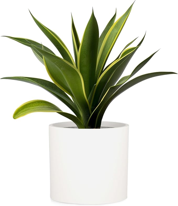 Fox & Fern Large 12 Inch Planter — Premium Lightweight Fiberstone Matte White Plant Pot w Drainage Plug; Large Indoor & Outdoor Floor Planter; 12 Inch Pots for Plants; Weather Resistant & UV Resistant