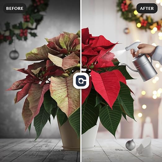 Poinsettia Plant Fertilizer - 3-1-2 NPK - Organic Liquid Plant Food for Christmas Flowers and Trees - 8oz Concentrate