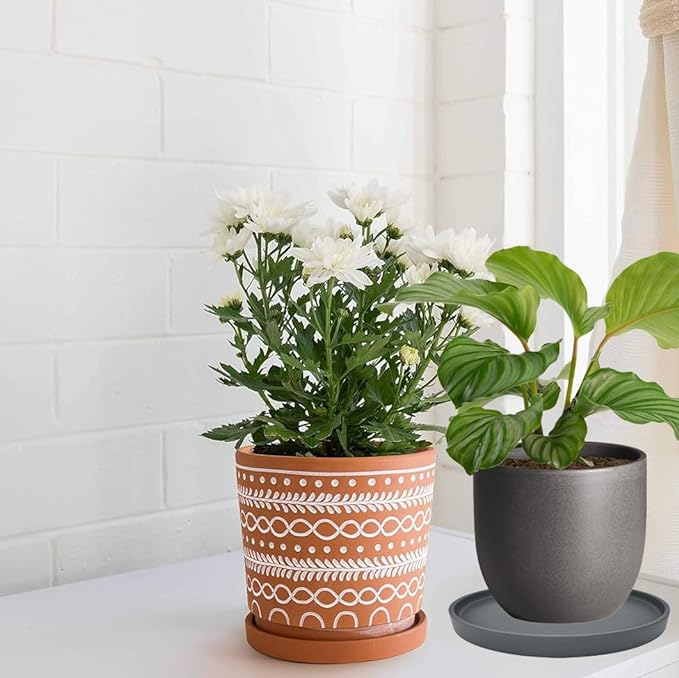 Ceramic Plant Saucer Pot Tray 10 Inch, Planter Saucers 4 5 6 7 8 9 10 11 12 13 Inch for Indoors Outdoor, Durable Sturdy Flower Drainage drip Water Tray for Glazed Pots Base (10.7 Inch-Grey)