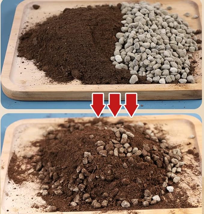 Horticultural Pumice for Plants by Doter 2 QT, Soil Amendment for Bonsai and Cactus Plants
