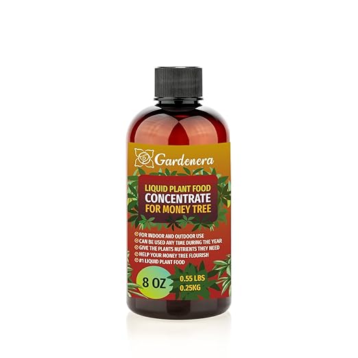 Plant Growth Superfood for Money Trees with 18 Vitamins & Minerals - Organic Plant Food Fertilizer - Micro-Fungi and Bio-Organisms for Money Tree Plant Care & Growth Enhancement - 8oz