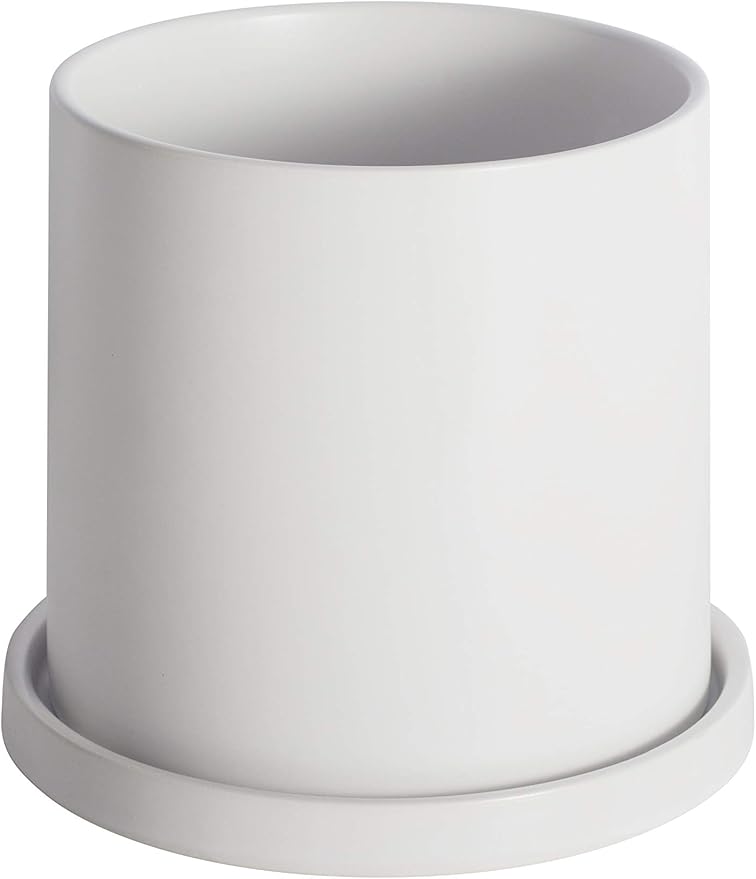Planters for Indoor Plants Ceramic Flower Succulent Plant Pots with Drain Hole Saucer Decor for Home Office (6 inch White)