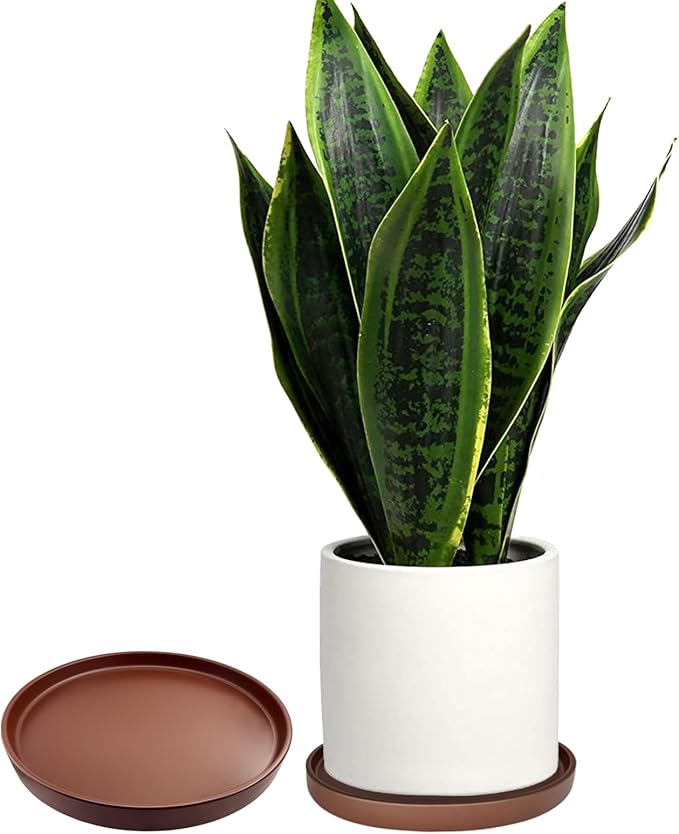 2 Pack Ceramic Plant Saucer Pot Tray 8 Inch, Planter Saucers 4 5 6 7 8 9 10 11 12 13 Inch for Indoors Outdoor, Durable Sturdy Flower Drainage drip Water Tray for Glazed Pots Base (8.5 Inch-Brown)