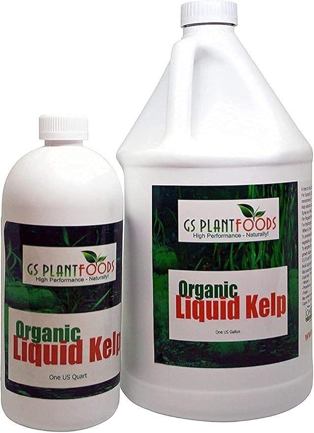 Organic Kelp Fertilizer by GS Plant Foods - Omri Listed(1 Gallon) - Liquid Kelp Concentrate for Gardens, Lawns & Soil Yields 800+ gallons