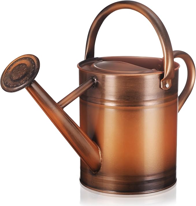 Watering Can for Outdoor Plants and Indoor Plants,1 Gallon Metal Watering Can for Garden Flower,Galvanized Steel Metal Water Can Watering Pot with Sprinkler Head