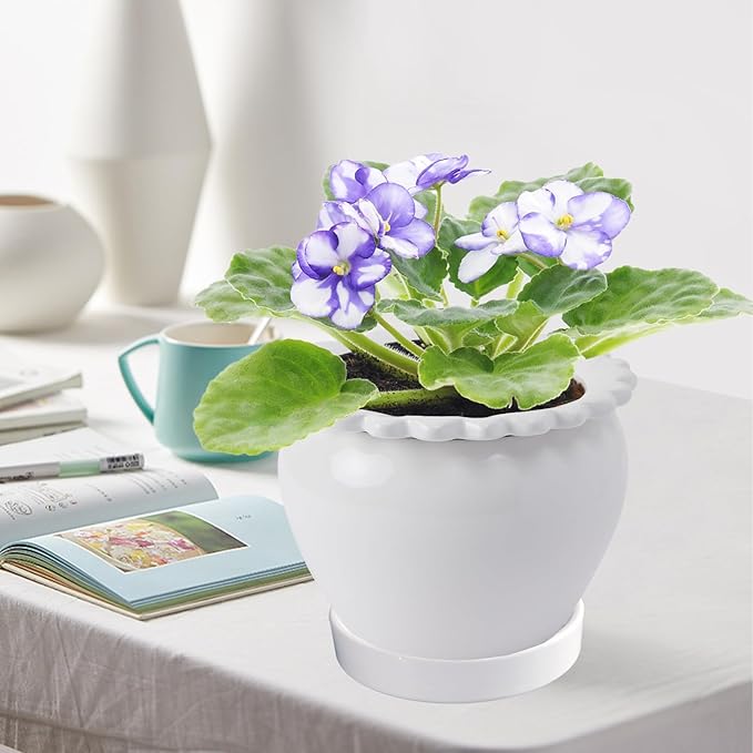 Ceramic Plant Saucer Pot Tray 2 Pack 4.7 6 7 8 9 10 12 13 15 inch White, Planter Water Drip Trays for Plant Saucers Indoors, Thick Durable Sturdy Flower Pot Saucers for Glazing Pots Base