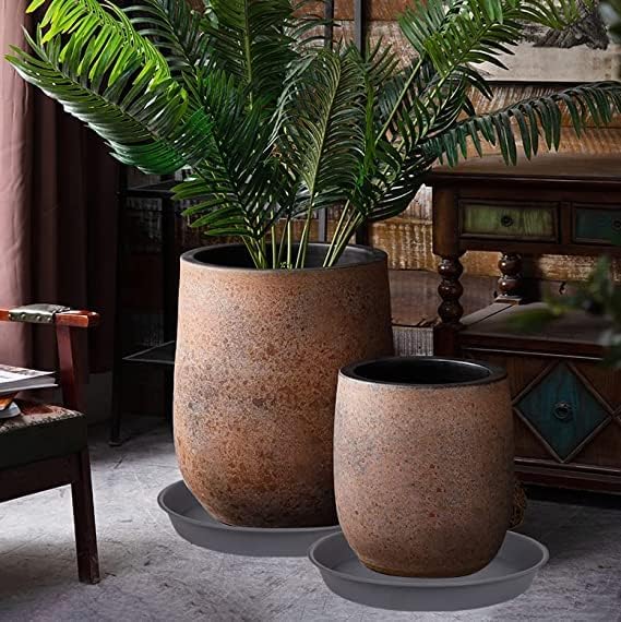 6 Pack of 7 8 inch Plant Saucer, Heavy Duty Plastic Plant Water Tray 8 inch Round, Flower Plant Saucers for Indoors No Holes, Plant Dishes Saucer for Planter 7"/8" (8", Cement Gray)