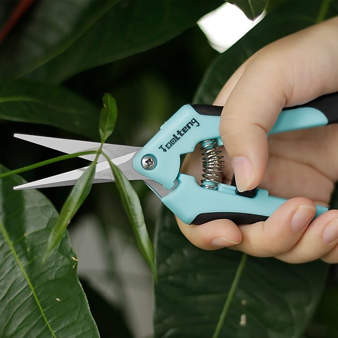 6 Packs Pruning Shears, Garden Trimming Scissors, Gardening Hand Pruning Snips, Titanium Coated Precision Bonsai Pruning Shears, Convenient and Efficient Flower Cutters (Blue)