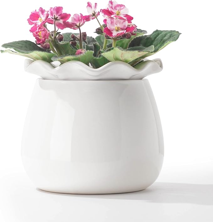 Self Watering Plant Pot, 6 Inch African Violet Pots Maintenance, Ceramic Self-Watering Planter for Indoor Plants - Ideal Flower Pot for Thriving Indoor Gardens