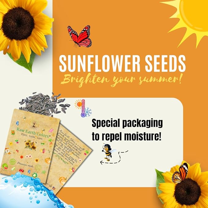 Dwarf Sunflower Seeds for Planting - to Plant and Grow Teddy Bear and Sunspot in Your Flower Garden.