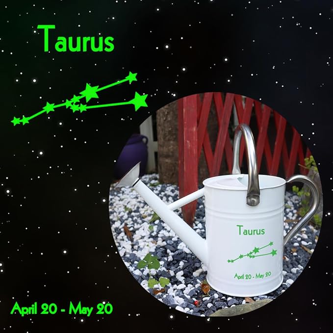 Metal Watering Can for Outdoor and Indoor Plants, Watering Can Decor, 1 Gallon (Taurus)