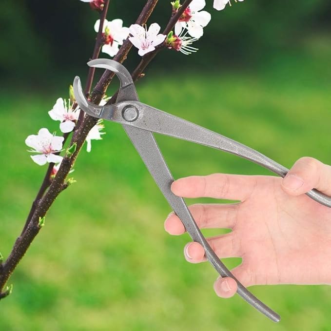Bonsai Cutters, 8.5inch Concave Cutter Bonsai Tools Stainless Steel Bonsai Tree Knob Cutter Gardening Concave Pruner Tree Branch Cutter Long Reach Bonsai Tools