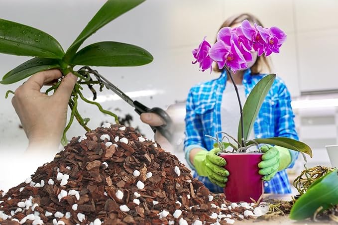 2QT Orchid Potting Mix with Mix Pine Bark & Perlite, Orchid Repotting Soil Medium Great for Indoor Plant Root Climbing & Expanding