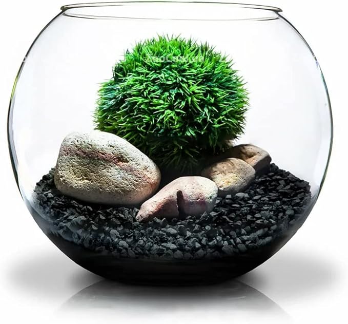 Horticultural Charcoal for Plants 4 qt, All Natural Hardwood Charcoal, Activated Charcoal for Soil Amendment, Orchids, Terrariums, and Gardening