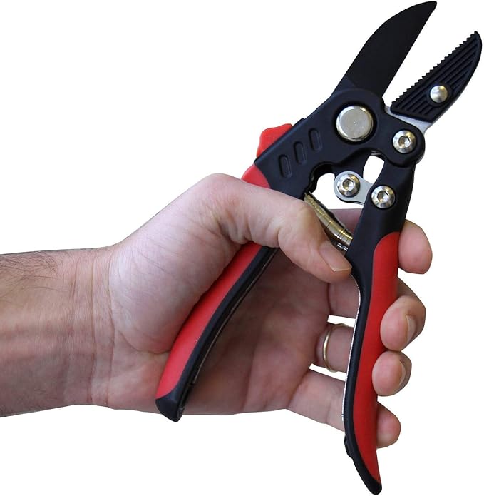 TABOR TOOLS S852A Anvil Hand Pruner with Compound Action, Makes Clean Cuts. Professional Sharp Secateurs, Pruning Shears, Garden Shears, Clippers for the Garden.