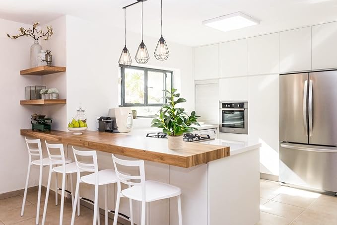 AlphaAcc 16 inch Artificial Indoor Plants Office Desk Faux Plant Peperomia Leaf Ficus Plant Realistic Small Fake Farmhouse Plants for Home Kitchen Bathroom Bedroom Evergreen Decor