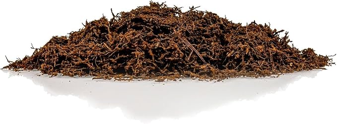 GARDENERA's Premium New Zealand Tree Fern - 3 Quart - Growing Medium for Orchids and Epiphytes | Provides Optimal Drainage and Aeration