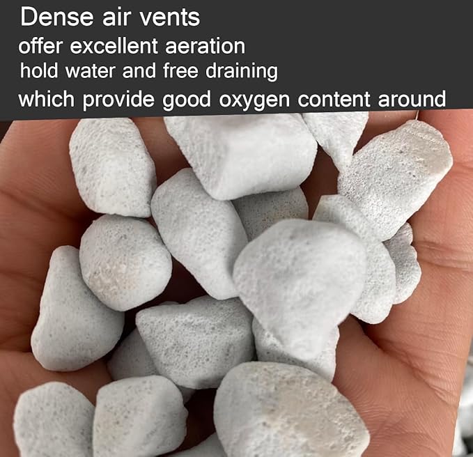 25QT Organic Perlite Horticultural Soil Amendment for Plants and Enhanced Drainage Enhanced